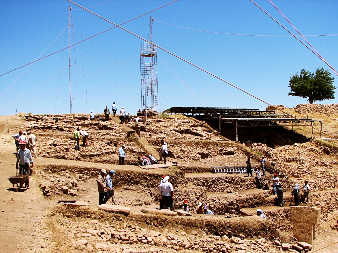 Excavation View